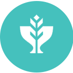 بومی و محلی