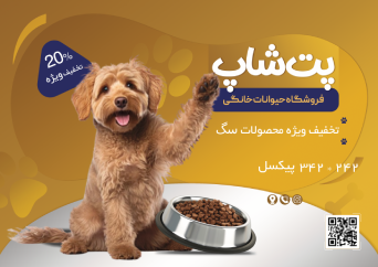 قطره پرندگان توکان