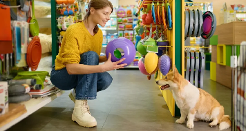 چگونه با پت خود بازی کنیم