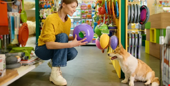 چگونه با پت خود بازی کنیم