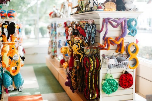 وسایلی که باید برای پت خود تهیه کنیم