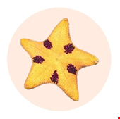 ستاره دریایی